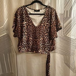 Plus size leopard v-neck
